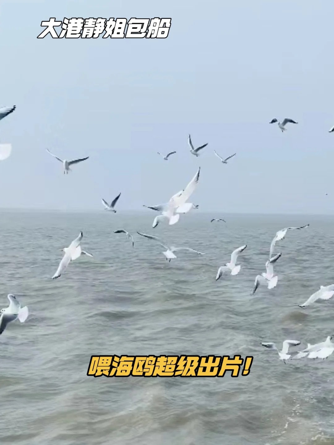 天津大港静姐包船|出海体验捞海鲜的快乐!_3_旗玮静姐团建_来自小红书网页版.jpg